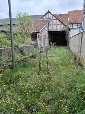 Foto - Bauernhaus, Landhaus in Bad Königshofen im Grabfeld zum Kaufen