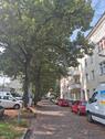 Foto - Vermietete- 2 Zim. - Raschdorffstr. - Reinickendorf