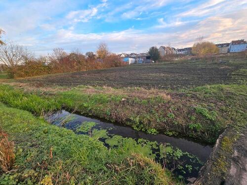 Foto - Gartenbau bzw. Landwirtschaftliche Fläche zu verpachten