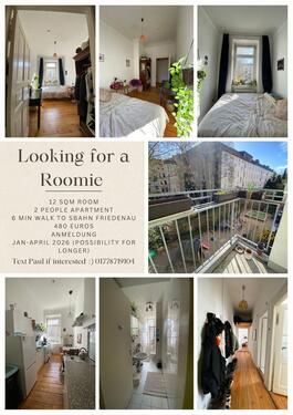 Foto - Looking for a roommate from Jan 2026