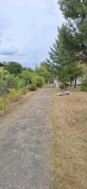 Foto - Einfamilienhaus in Finsterwalde zum Kaufen