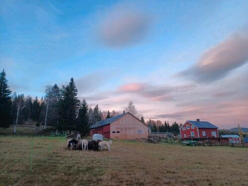 Foto - andere zur Miete in Widdern