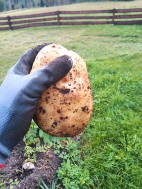 Foto - andere in Widdern zur Miete