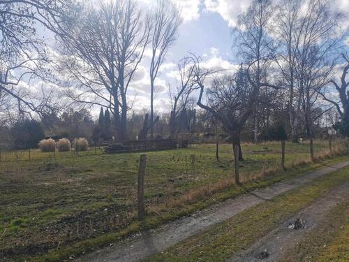 Foto - Gartengrundstück in Storkow (Mark)