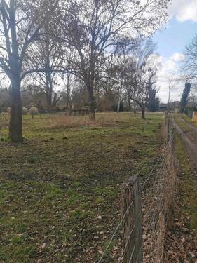 Foto - Grundst&uuml;ck zur Miete in Storkow (Mark)