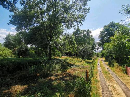 Foto - Grundst&uuml;ck in Storkow (Mark)