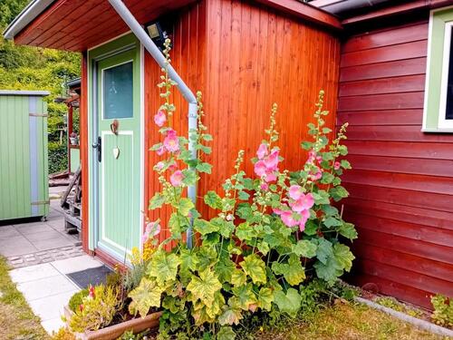 Foto - 2 Zimmer Einfamilienhaus zum Kaufen in Hitzacker (Elbe)