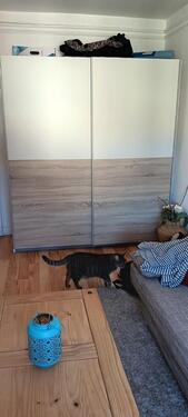 Foto - 4 Zimmer andere in Hamburg