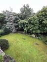 Foto - Familientraum auf zwei Ebenen - 2.600,00 EUR Kaltmiete,