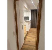 Großzügige frisch renovierte 1 Zimmerwohnung - Röthlein