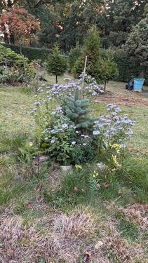 Foto - Grundst&uuml;ck in Weinböhla