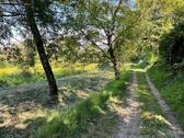 Foto - Freizeitgrundstück in Ettenheim im Marbach