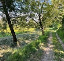 Freizeitgrundstück in Ettenheim im Marbach