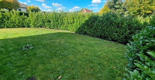 Foto - 2 bis 3 Zimmer Wohnung in Zeven für kleine Familie DH