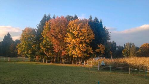 Foto - 3 Zimmer Wohnung in Aying Loibersdof