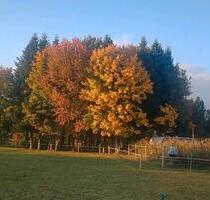 3 Zimmer Wohnung in Aying Loibersdof