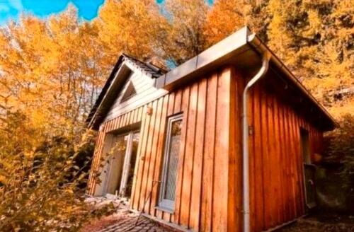 Foto - Waldhaus Garten Ferienhaus - 48.000,00&nbsp;EUR Kaufpreis, ca.&nbsp; 23,00&nbsp;m&sup2;