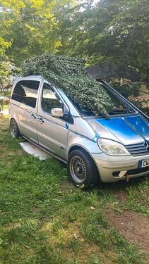 Foto - Etagenwohnung in Neubulach