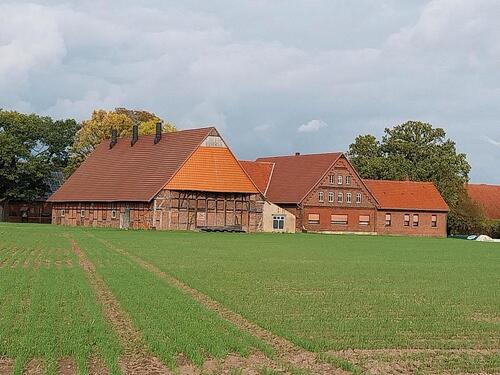 Foto - Einfamilienhaus in Minden