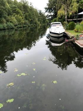 Foto - SCHÖNE 3 ZI. WHG AM HASELWINKEL KANALSTRAßE AN DER MÜGGELSPREE