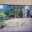 Foto - Einfamilienhaus - 1.620,00&nbsp;EUR Kaltmiete, ca.&nbsp; 197,00&nbsp;m&sup2;
