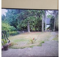 Einfamilienhaus - 1.620,00&nbsp;EUR Kaltmiete, ca.&nbsp; 197,00&nbsp;m&sup2; in Bruchhausen-Vilsen (PLZ: 27305)