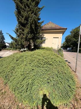 Foto - 2 Zimmer Einfamilienhaus in Göppingen