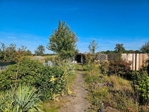 Foto - Grundst&uuml;ck zur Miete in Naunhof