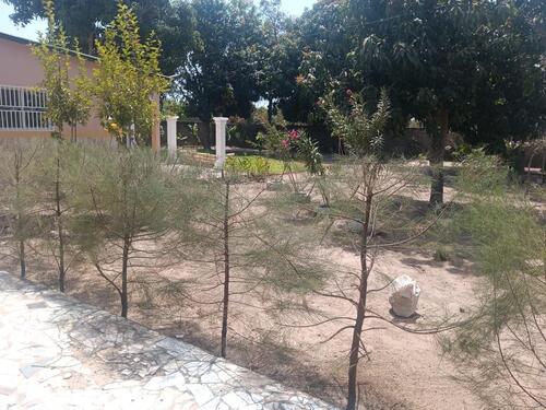 Foto - 3 Zimmer Einfamilienhaus zum Kaufen in Leipzig