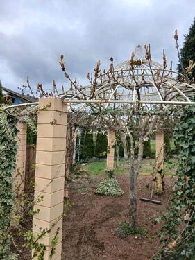 Foto - andere zur Miete in Köln