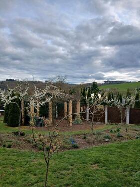 Foto - andere in Köln