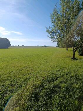 Foto - 5 Zimmer Bauernhaus, Landhaus in Waging am See