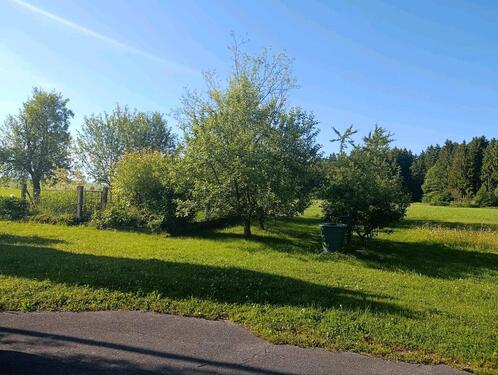 Foto - Bauernhaus, Landhaus in Waging am See zum Kaufen