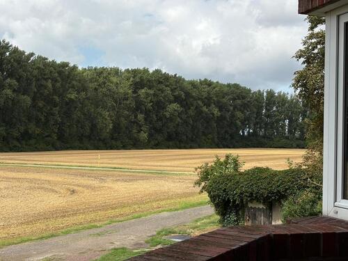 Foto - Etagenwohnung zur Miete in Gröningen