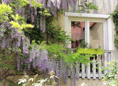 Foto - Einfamilienhaus in Stetten zum Kaufen