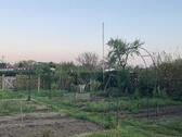 Foto - Kleingartenparzelle Schrebergarten abzugeben