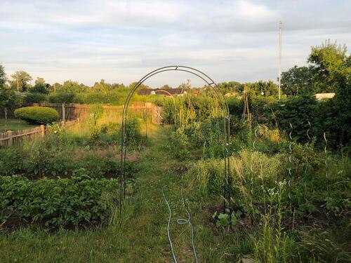 Foto - Grundst&uuml;ck in Taucha