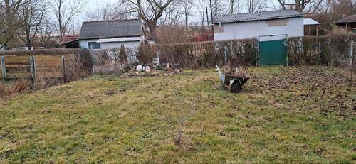 Foto - Grundst&uuml;ck zur Miete in Weißensee