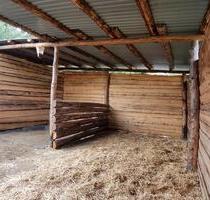 Offenstall Anlage zu vermieten - 1.100,00 EUR Kaltmiete, in Grimma (PLZ: 04668)