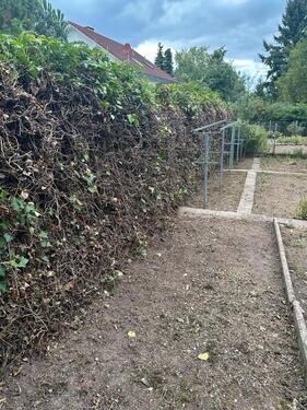 Foto - Grundst&uuml;ck in Feilbingert
