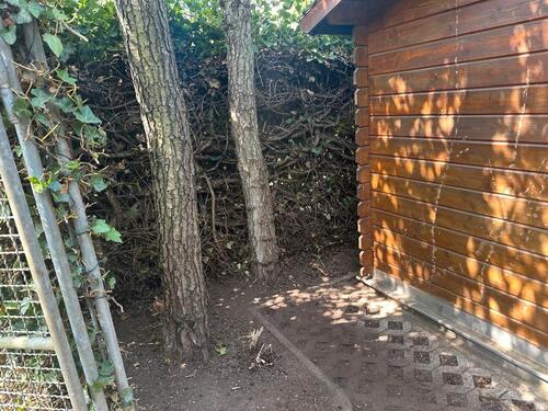 Foto - Grundst&uuml;ck in Feilbingert zur Miete