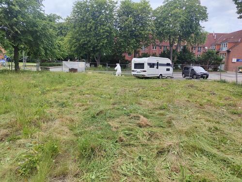 Foto - Grundstück zur Pacht 740 qm² - 1.250,00&nbsp;EUR Kaltmiete, ca.&nbsp; 0,00&nbsp;m&sup2;