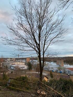 Foto - 3 Zimmer Bungalow in Deggendorf