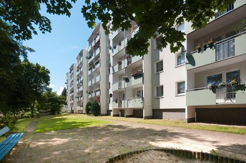 Foto - 3 Zimmer Erdgeschoßwohnung in Chemnitz