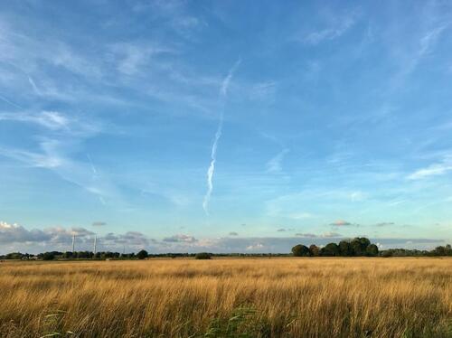 Foto - andere in Wilhelmshaven