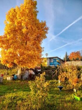Foto - Grundstück in Südeichsfeld