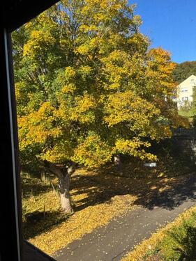 Foto - Sehr schöne Wohnung in Lütter zu vermieten