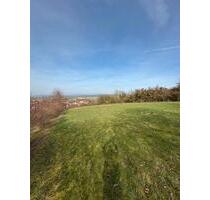 Freizeit-Weidefläche in Volxheim zu vermieten (eingezäunt) - Hackenheim