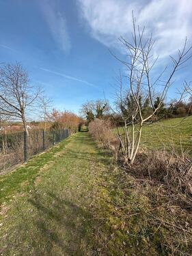 Foto - Grundst&uuml;ck zur Miete in Hackenheim