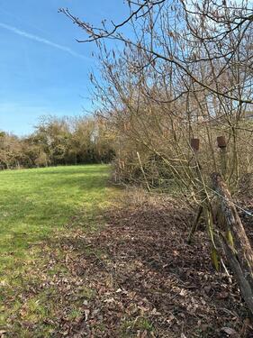 Foto - Grundst&uuml;ck in Hackenheim